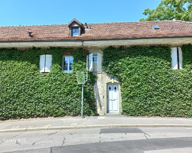 Vegetalisation_verticale_avenue_Savoie_1 Avenue de Savoie 4