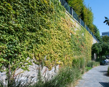 Vegetalisation_verticale_promenade_Derrierebourg_1 Promenade Derrière-Bourg