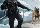 Chiens de patrouille