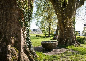 Bassin et fontaines de la Ferme du Désert Bassin et fontaines de la Ferme du Désert, Lausanne.