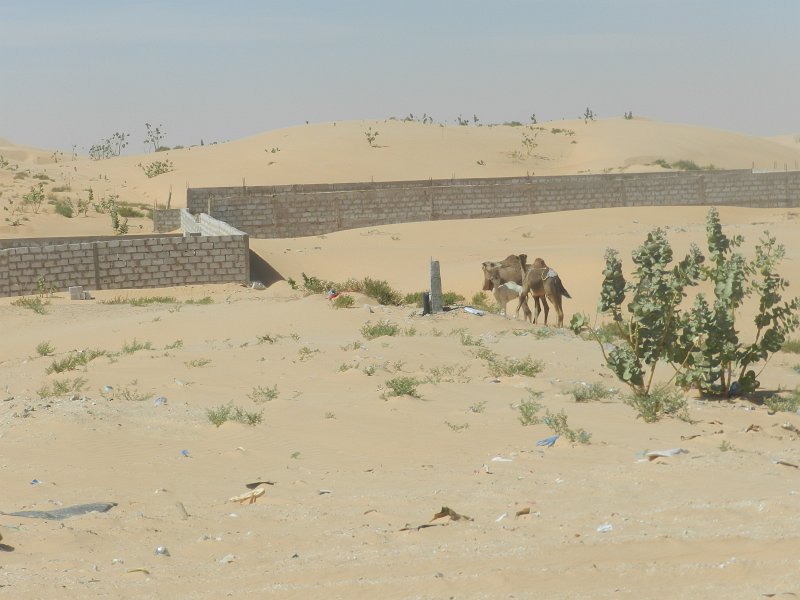 DSCN1315