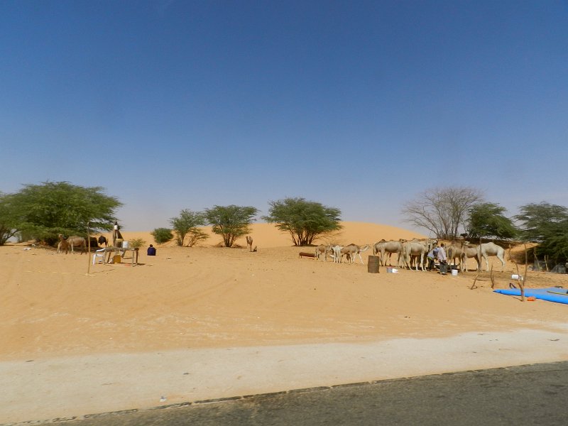 DSCN1356