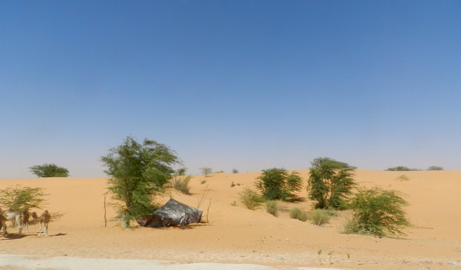 DSCN1360