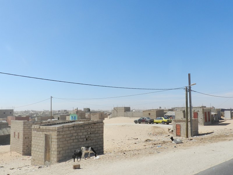 DSCN1412