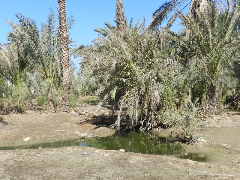 DSCN1530