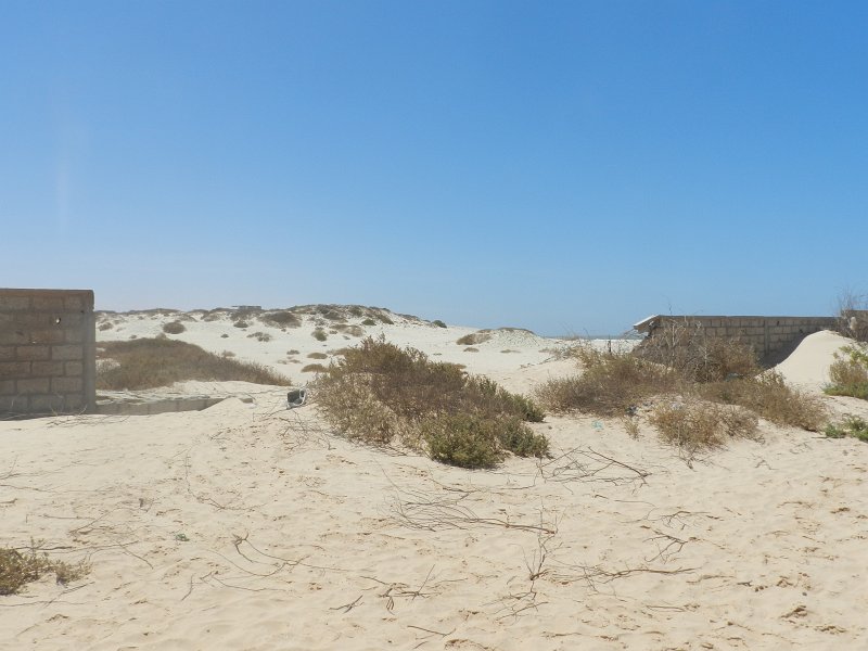 DSCN1701