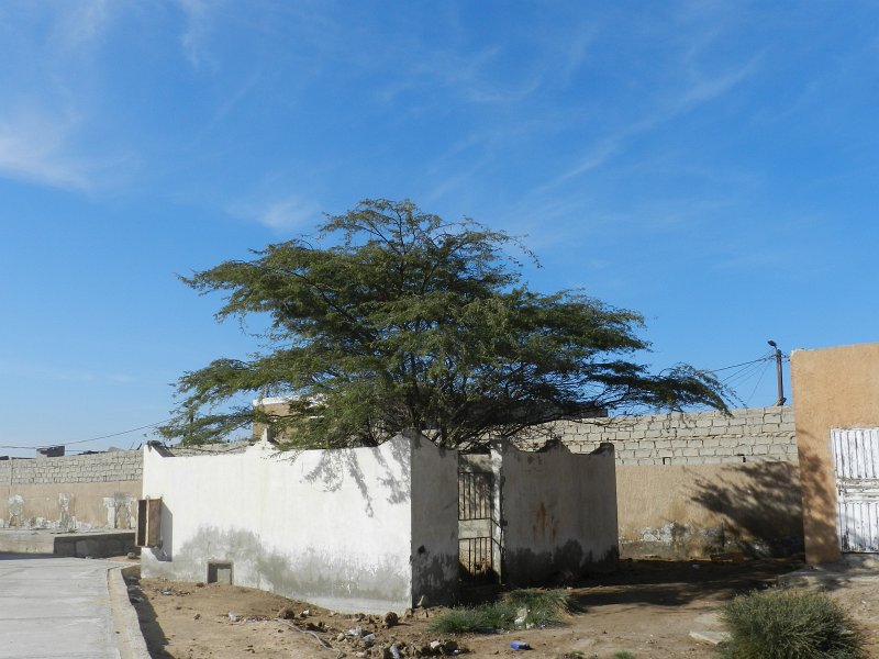 DSCN1488