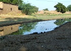 © V. Bayiri &#38; A. Dépraz
