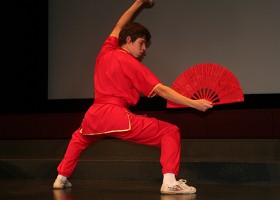 IMG_8514 Démonstration de Wushu, art martial chinois, par l'équipe d'Alain Coppey.
