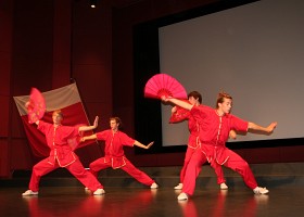 IMG_8517 Démonstration de Wushu, art martial chinois, par l'équipe d'Alain Coppey.