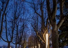 © Elisabeth Fransdonk  - EMO-PHOTO : Architecture, Eclairage, Ouchy, SIL, Eclairage public