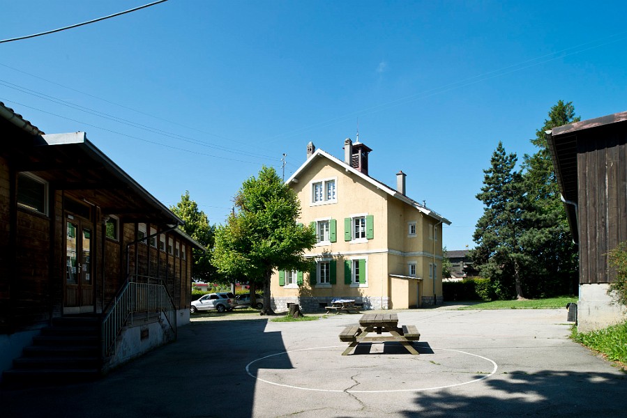 06